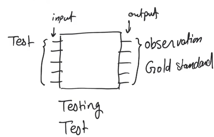 test-observation-gold-std